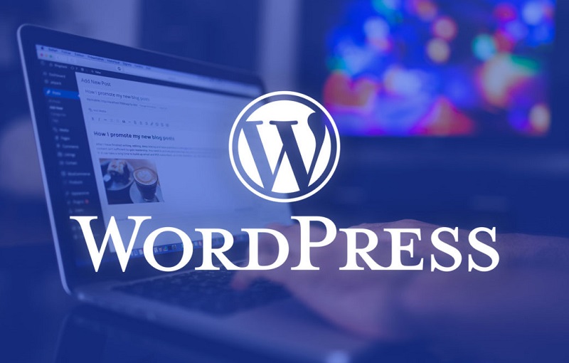 The-difference-between-WordPress-and-Webzi-02