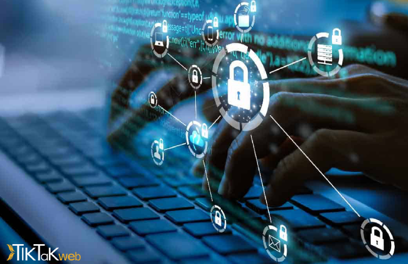 Dedicated-website-and-WordPress-01