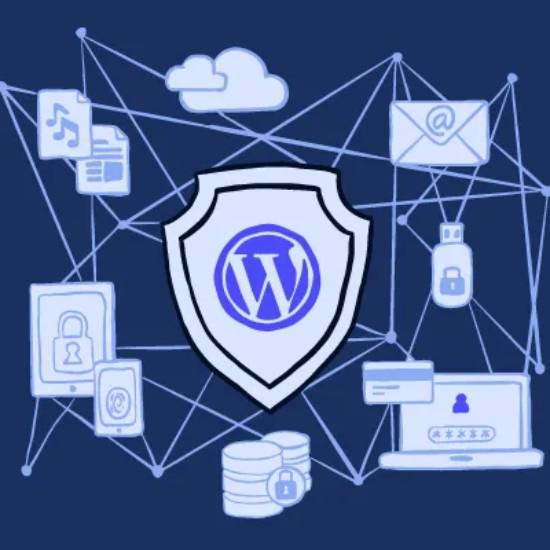 میزان ایمن بودن وردپرس | راهکارهایی برای افزایش امنیت وردپرس