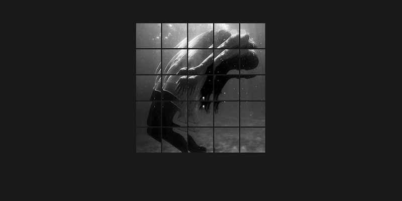 افکت تصویر با هاور کردن موس